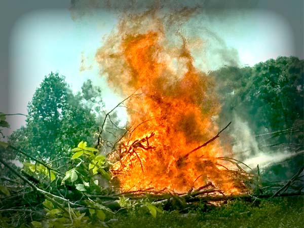 Controlled burning brush pile to manage underbrush on hunting land