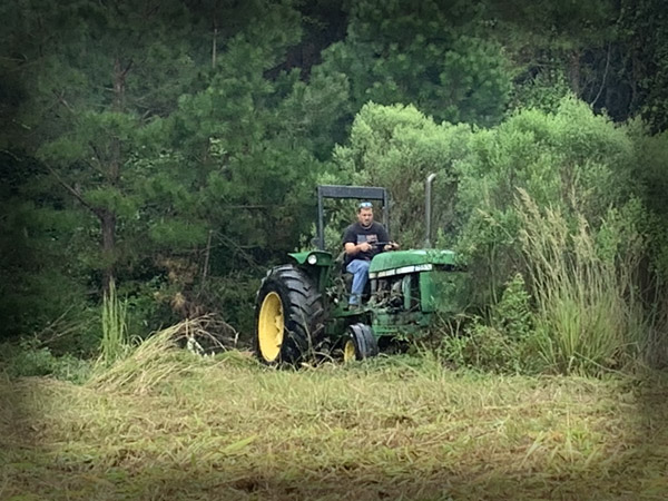 Bush Hogging