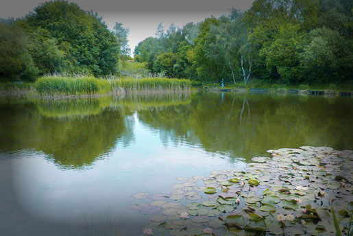 ustom excavated fishing pond with clear water and healthy bank management in Georgia